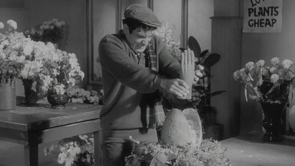 little_shop_of_horrors_1960_featured