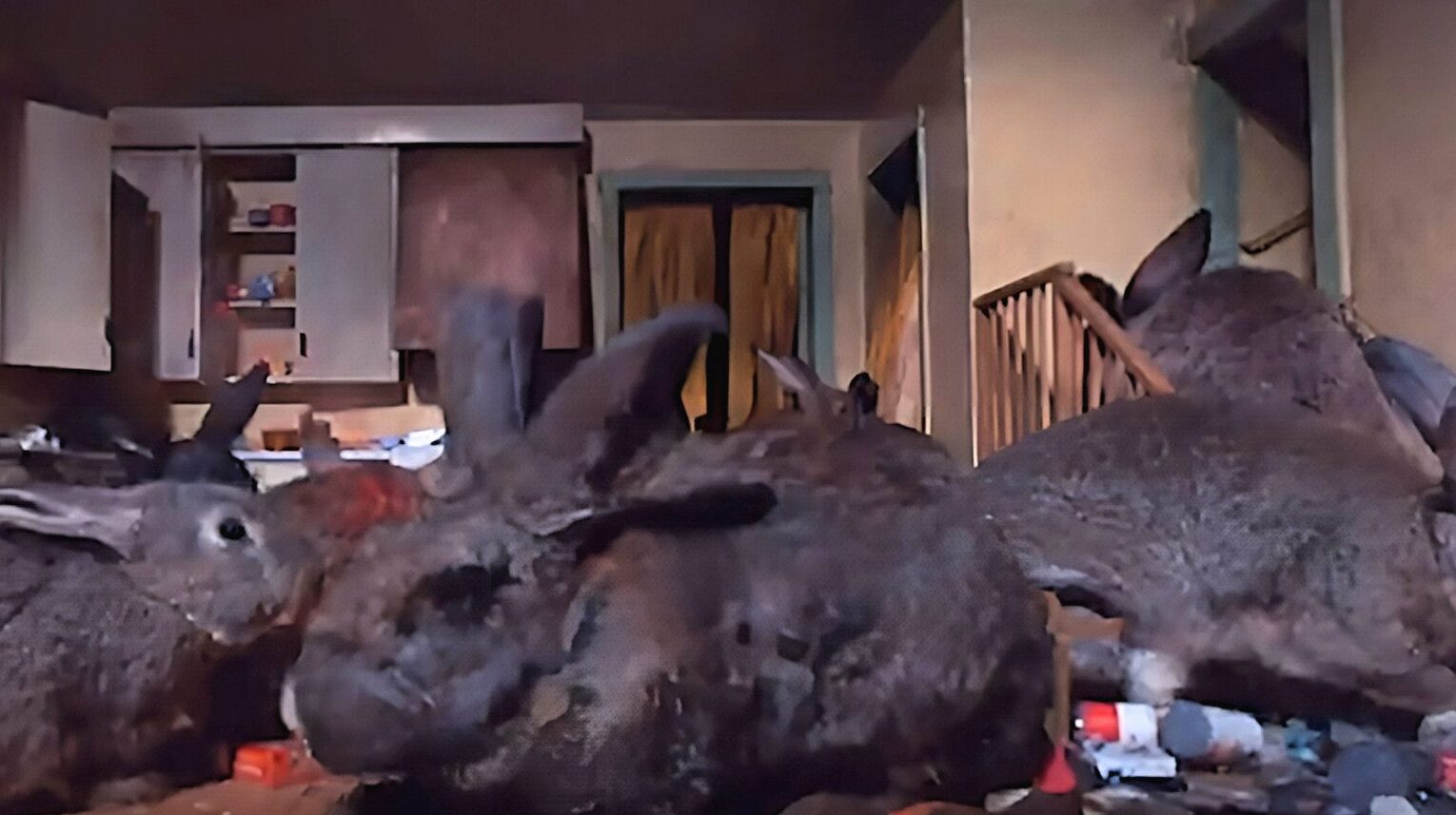 night_of_the_lepus_featured